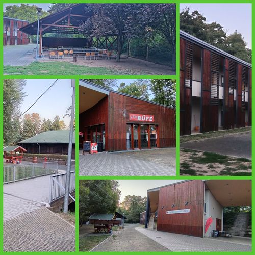 PhotoCollage_1756354530431.jpg